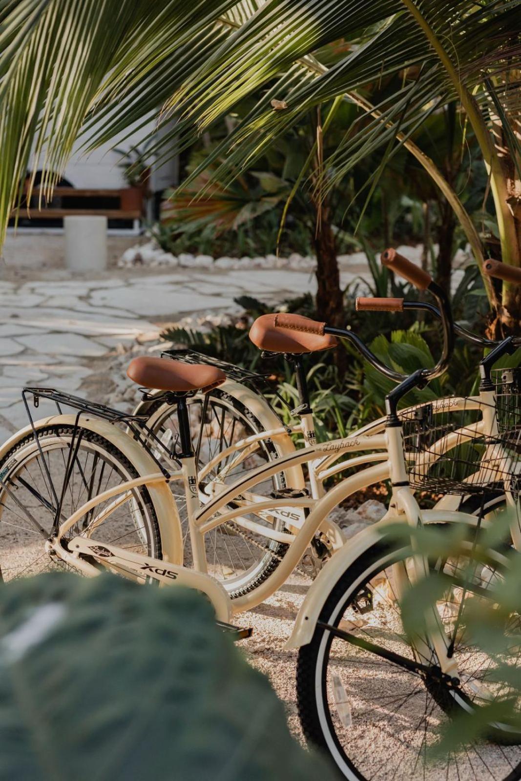 Sendero Hotel Nosara Εξωτερικό φωτογραφία